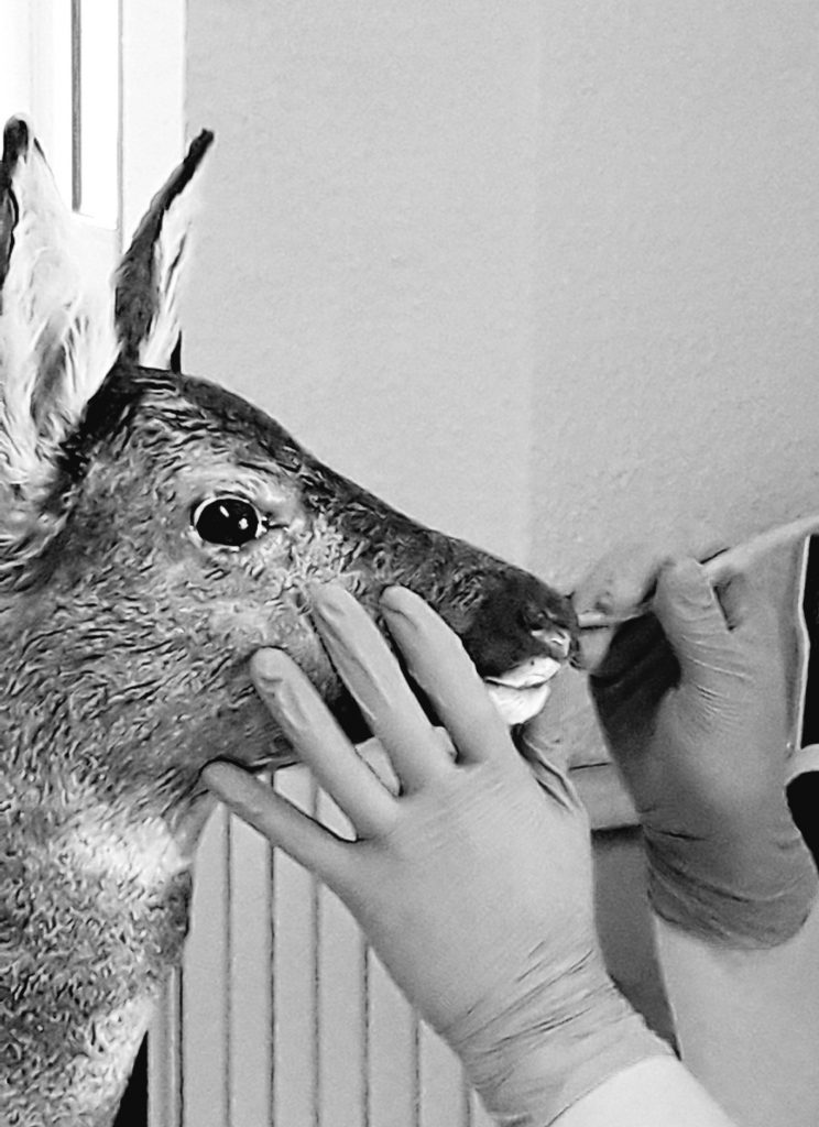 La couture terminée, on façonne le visage.
