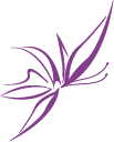 Logo Isabel Natural